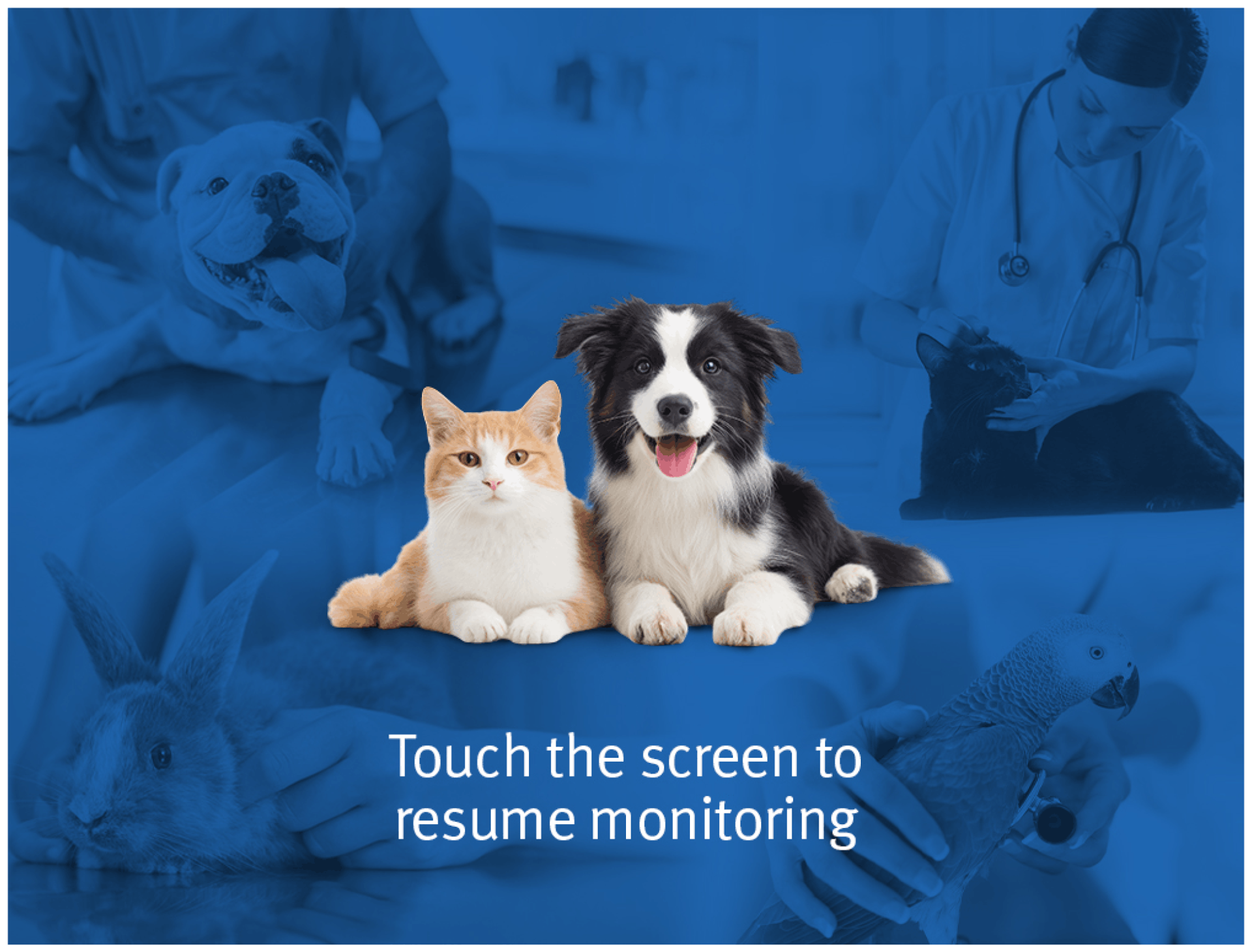 VitaLink screen showing a dog and cat